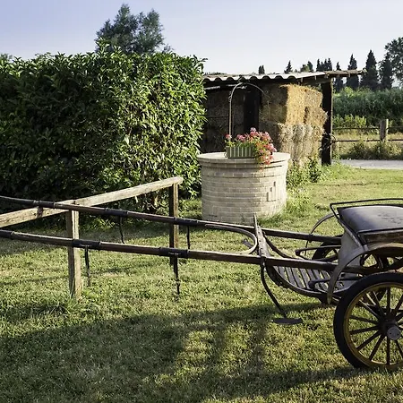 La Del Musone - Loreto Conero Bed & Breakfast Castelfidardo